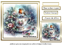 teacup robin 3