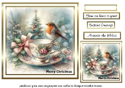 teacup robin 4