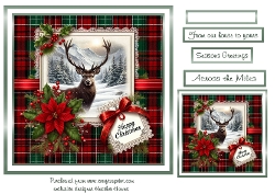 stags christmas 1