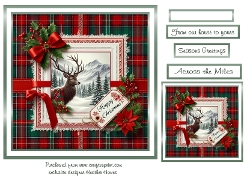 stags christmas 2