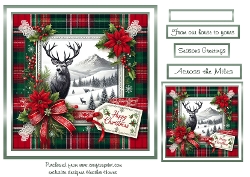 stags christmas 3