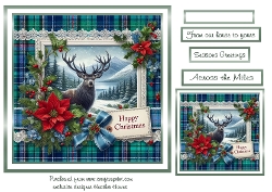 stags christmas 4