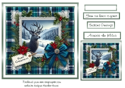 stags christmas5