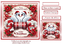 a special couple swans