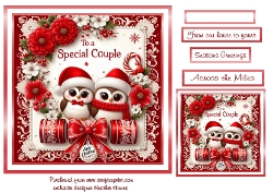 a special couple owls