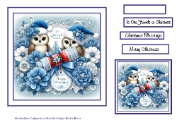 to a special couple owls blue 3