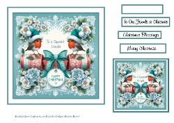 robins to a special couple