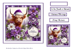Highland coo purple christmas