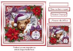 red christmas coo