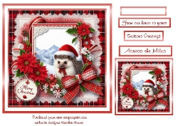 hedgehog christmas 2