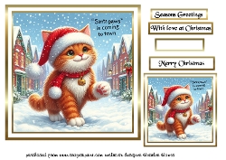 ginger tom cat santa paws