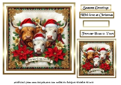 coos at christmas