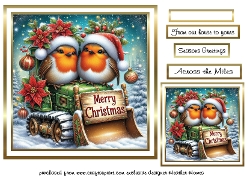 robin 1