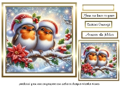 robin 2