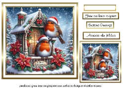 robin 5
