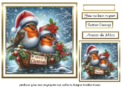 robin 7