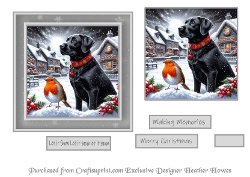 bw and red accents mix 7