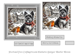 bw and red accents mix 12