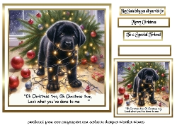 christmas time 5