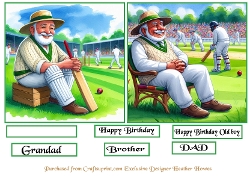 cup1404540_107 - cricket birthday toppers