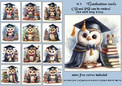 owl graduation card fronts