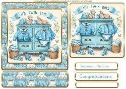 a new arrival in blue twins