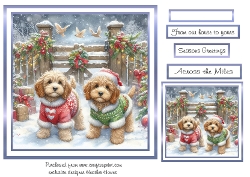 cockapoos at christmas