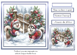 huskies blue christmas