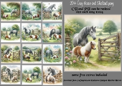 20+grey horse and shetland pony as requested