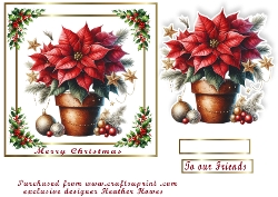 poinsettia  christmas