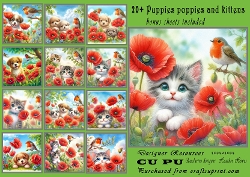 20+poppies puppies and kittens