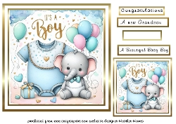 new   baby boy2