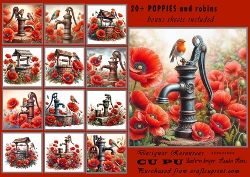 20+ poppies and robins