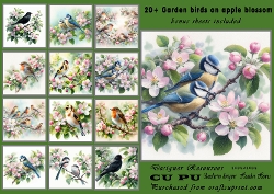 20+ garden birds