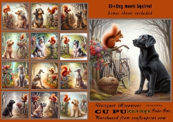 20+ assorted dogs meet a red squirrell