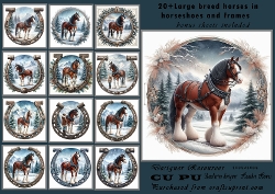 20+large breed horses in frames or horseshoes
