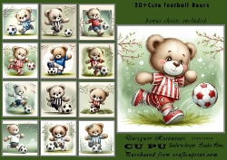 20+ football bears