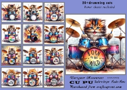 20+cats a drumming