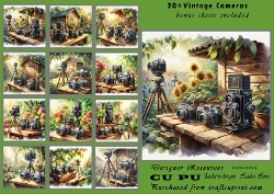 20+ vintage cameras