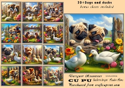 20+ dogs and ducks