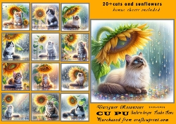 20+cats and sunflowers in the rain