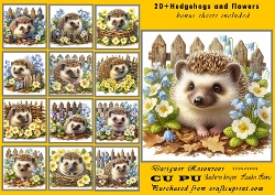 20+hedgehogs bluebells and primroses