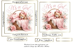 baby girl basket 2