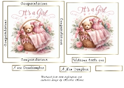 baby girl basket 3