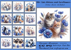 20+cats cornflowers and kittens