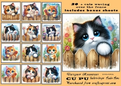 20+ assorted cats at the gate