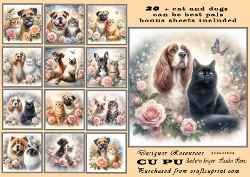 20+ best friends cats and dogs