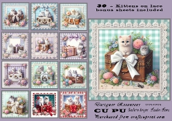 30+ cats on lace