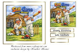 still game cricket