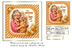 crazy cat lady
